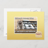 Burbon St. Balkon Kitten Briefkaart (Voorkant / Achterkant)