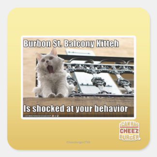 Burbon St. Balkon Kitten Vierkante Sticker