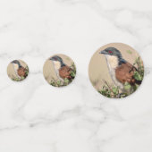 Burchell's Coucal Confetti (Voorkanten)