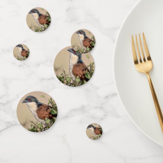 Burchell's Coucal Confetti (Groep)