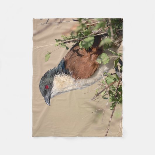 Burchell's Coucal Fleece Deken (Voorkant)