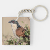 Burchell's Coucal Sleutelhanger (Achterkant)