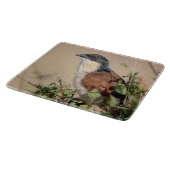 Burchell's Coucal Snijplank (Hoek)