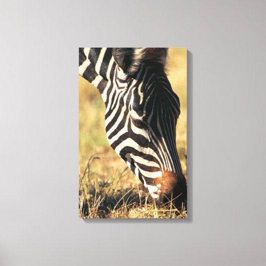 Burchells zebra canvas afdruk (Voorkant)