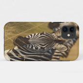 Burchell's Zebra in het zomergras, Masai Case-Mate iPhone Case (Achterkant (horizontaal))
