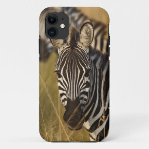Burchell's zebra in hoog zomergras, Masai iPhone 11 Hoesje