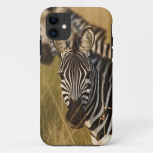 Burchell's zebra in hoog zomergras, Masai iPhone 11 Hoesje