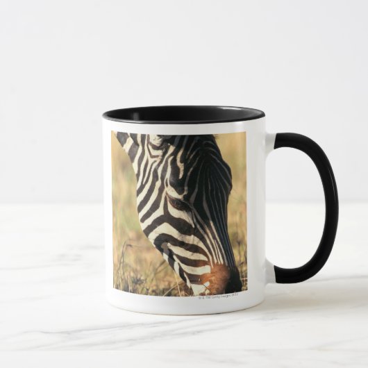 Burchell's zebra mok (Rechts)
