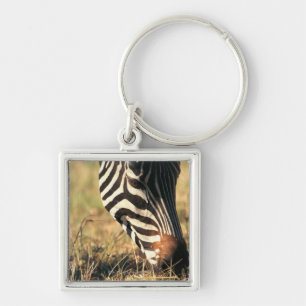 Burchell's zebra sleutelhanger