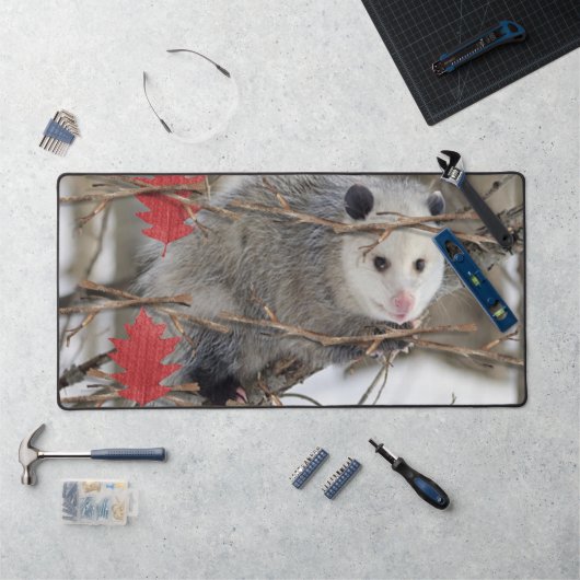 Bureaumat Opossum Natuur Wildlife (Werkstation)