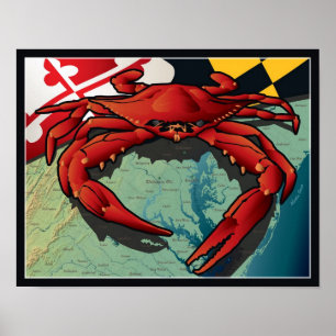 Burgerkrab van Maryland Poster