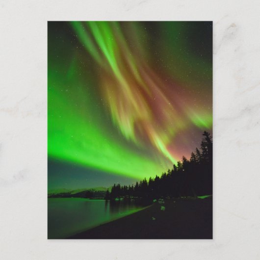 Burgundy Aurora Briefkaart (Voorkant)