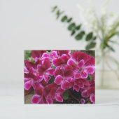 Burgundy Geranium Briefkaart (Staand voorkant)