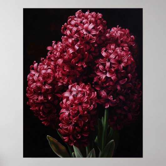 Burgundy Hyacinth Flowers Art Imprimer Poster (Devant)