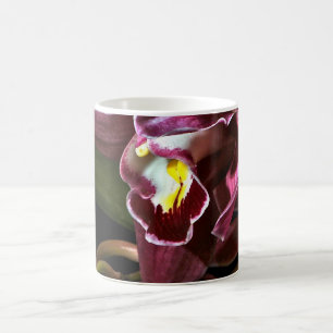 BURGUNDY ORCHID MET EEN ZWARTE ACHTERGROND KOFFIEMOK