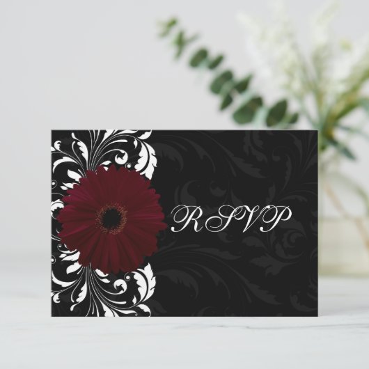 Burgundy Scroll Gerbera Daisy avec noir RSVP (Debout devant)