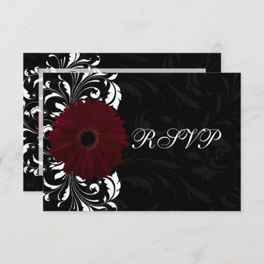 Burgundy Scroll Gerbera Daisy avec noir RSVP (Devant / Derrière)