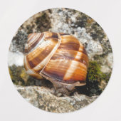Burgundy snail  labels (Design 1)