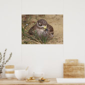 Burhinus oedicnemus poster (Keuken)