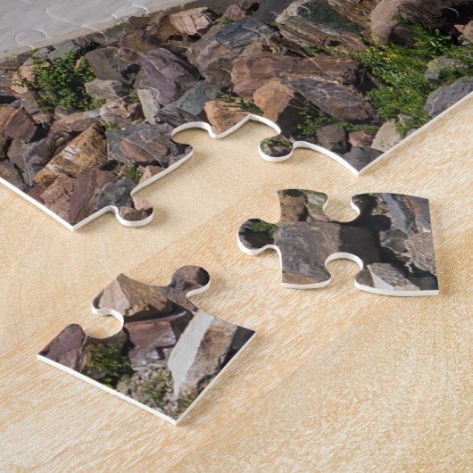 Burlington Vermont Jigsaw Puzzle (Côté)