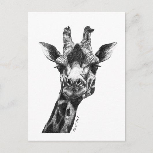 Burney de Giraffe Briefkaart (Voorkant)