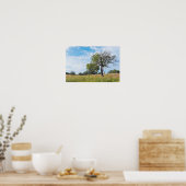 Burr Oak Trees en Prairie Poster (Keuken)