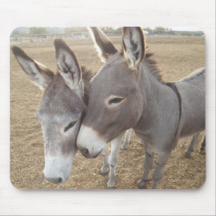Burro Love Muismat