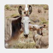 Burro Love Ornament (Voorkant)