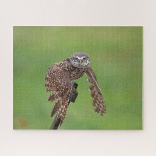 Burrowing Owl Jigzaag Puzzle Legpuzzel