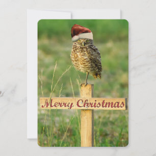Burrowing Uil Kerst Kaart