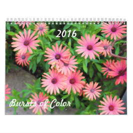 BURSTS OF COLOR KALENDER 2016