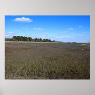 Burton Island Natuur Preserve Trail Poster