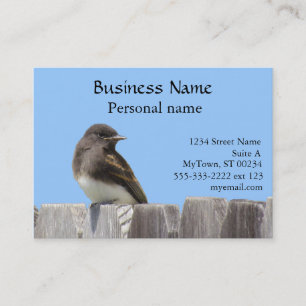 Bus. Carte - Catcher sur clôture