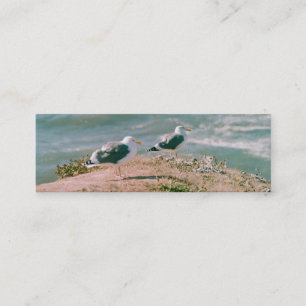 Bus. Carte - Mouettes sur Cliff