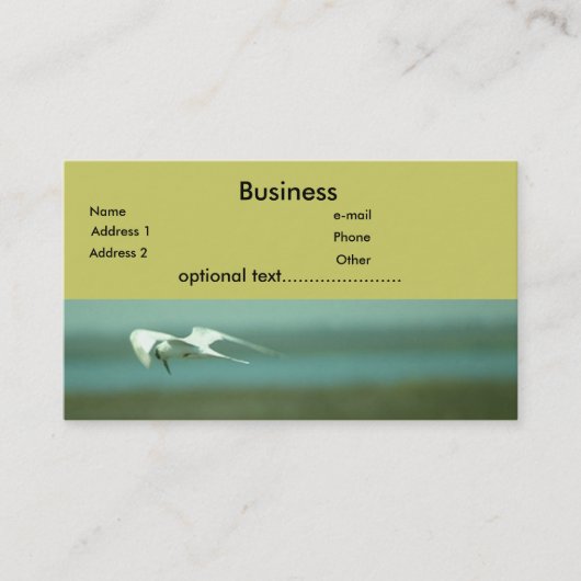 Bus. Carte - Tern (Devant)