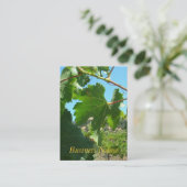 Bus. Carte - Vin de raisin (Debout devant)