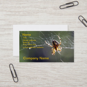 Bus. Kaart - Spider op internet Visitekaartje