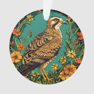 Busard de Montagu coloré