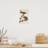 Buse à épaulettes par Audubon Poster (Cuisine)