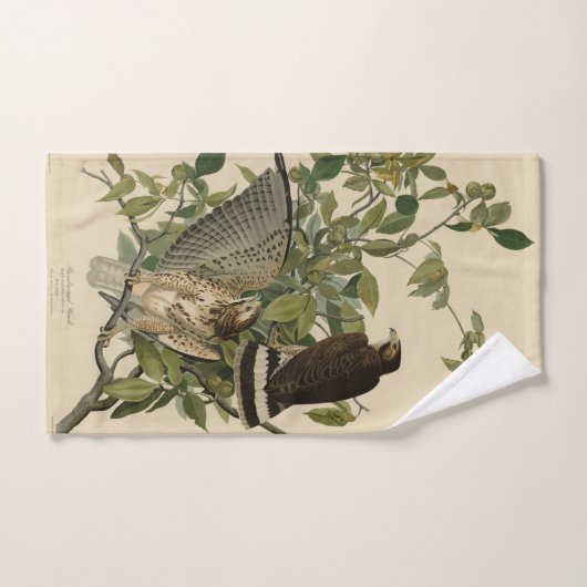 Buse à grande aile des oiseaux d'Amérique d'Audubo (Serviette à main)
