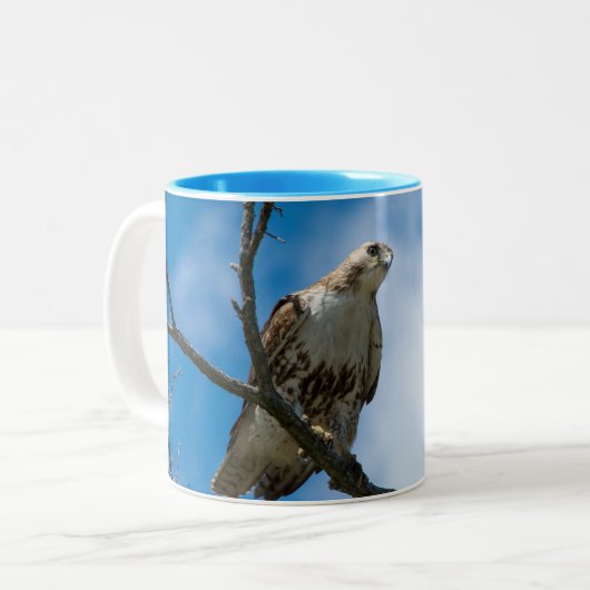 Buse à la chasse Bleu 11 oz Mug Deux tons (Devant gauche)