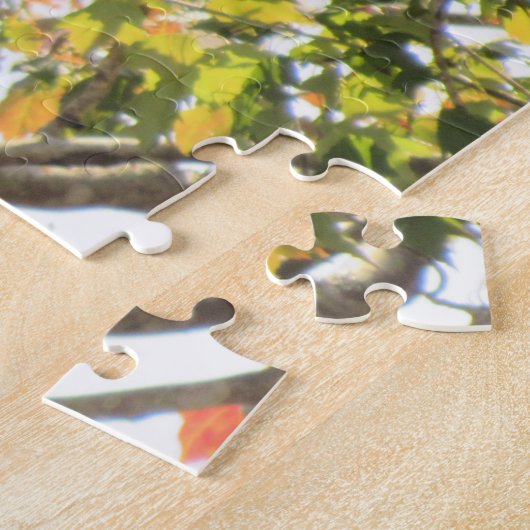 Buse à queue rouge - Puzzle des oiseaux de Prey Ji (Côté)