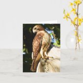 Buse à queue rousse n° 1 - Carte de note vierge (Fleur jaune)