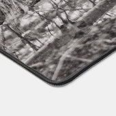 Buse à queue rousse P8443 (Coin)