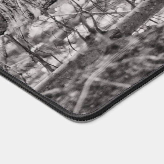 Buse à queue rousse P8443 (Coin)