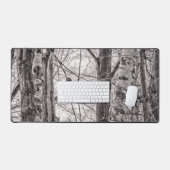 Buse à queue rousse P8443 (Clavier et souris)