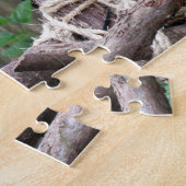 Buse à queue rousse - Puzzle (Côté)