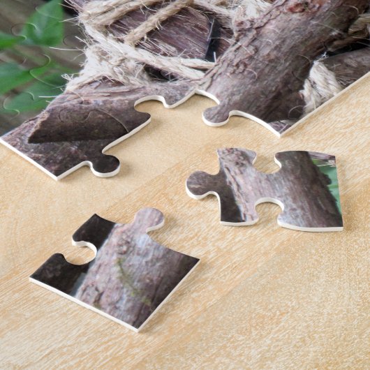 Buse à queue rousse - Puzzle (Côté)