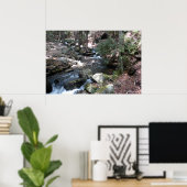 Bushkill River in de Poconos. print 0086 (Thuiskantoor)