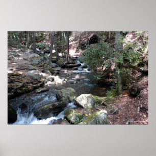 Bushkill River in de Poconos. print 0086